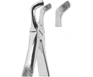 Extracting Forceps English pattern